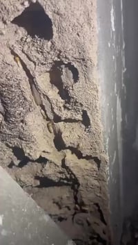 مكافحة حشرات • كشف سونار • ضمان ٥ سنوات