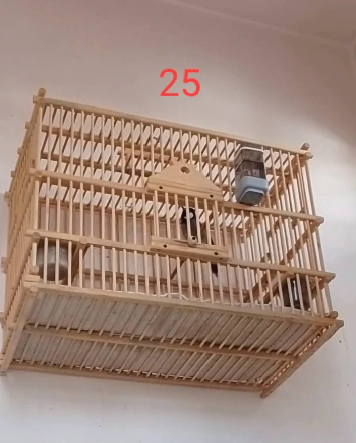 متاح أقفاص نظيفه أخو الجديد السعر عل صور شراي خابرني
 ***********
مكاني كركوك
