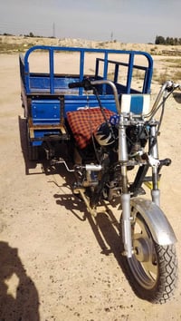 ستوته • ام تي ار • فطر بالشاصي