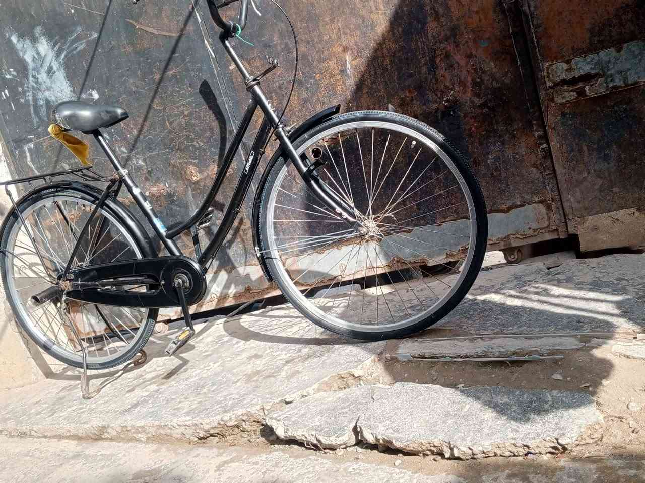 بايسكل بناتي موديل 2019 نظيف مو ناقصه شيء من نقص ماله بس بريك امامي وبس سعر 70 وبي مجال قليل ومراوس حسب القناعه المكان بغداد مدينه الصدر خلف السوق العربي


**إذا كنت صاحب هذا الإعلان وتريد حذفه لأي سبب، رجاءا أرسل رسالة إلى الدعم الفني**