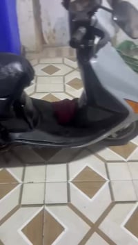 فراشه • مكاني • البصرة