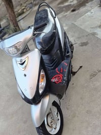 ماكس منغولي لبيع  07517006989