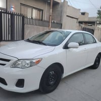 كورلا • ٢٠١١ • وارد كندي