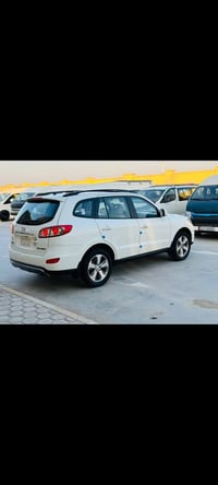 سنتافي • ٢٠١٢ • وارد خليجي