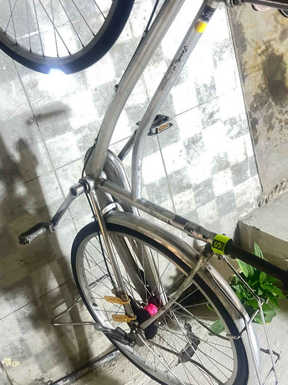 السلام عليكم بايسكل بناتي للبيع حجم 26 لون رصاصي كامل مكمل اي نقص ماكو بس الستاند من تنزله يرفع عالي بس يوكف كلشي مابي واذا ماعجبك اطيك واحد ثاني جديد وموجود الجاملغ الامامي ووياله كامله مختمه وبي شخوط بايدر مكسور اعطال بسيطه ميكلفن /مكاني بغداد حي الاعلام ورقمي *********** (السعر 70 وبي مجال تجي بيك خير وتدلل)
