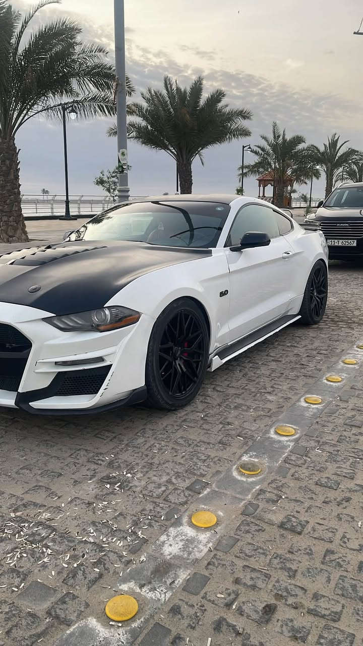 السلام عليكم موستنك Gt بريميوم مديل 16 محدثه 21 للبيع او المراوس رقم اربيل هزه وسنويه جديده تحويل مباشر 
السياره فول الفول دشبول 7 الوات اشاير ترحيب مودات قياده كشنات كهربائي تبريد تدفئه وبعد هواي مواصفات 
السياره جديده بمعنى الكلمه وبيهه اضافات كلش هوايه عليهه لد متغير عليهه ثلاجه 10 نمر ب المناسبه السياره توني شادلهه مكينه جديده ومكينتهه القديمه موجوده يعني كير مكينه اكسل حداديه تبريد وحتى ويل وتايرات تخم جديد جاهزه ع اخر حبه ..
السياره ضربتهه جدا خفيفه وصور الحادث ب المنشور جاملغات خلفيه صبغ والبجم تلث قطع محدث جاملغين وبنيد  والسياره لا شاصي لا لغد ماشيه 68 ميل ب النسبه لخواتهه زيرو 

السعر 158ولحد يقارنهه ب المهجومات والمنتهيات من الاستعراض سياره جديده مكاني البصره🌎
***********
***********
