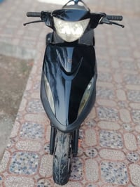 ماكس • عدلة • ديالى بلدروز