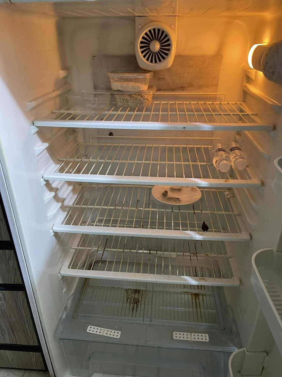 السلام عليكم
ثلاجة ومجمدة للبيع شغالات مال بيت ونظيفات للبيع للاستفسار الاتصال على الرقم ***********
