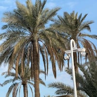 كاميرات ٤ ميغابكسل • ربط وايرلس • كربلاء حي رمضان