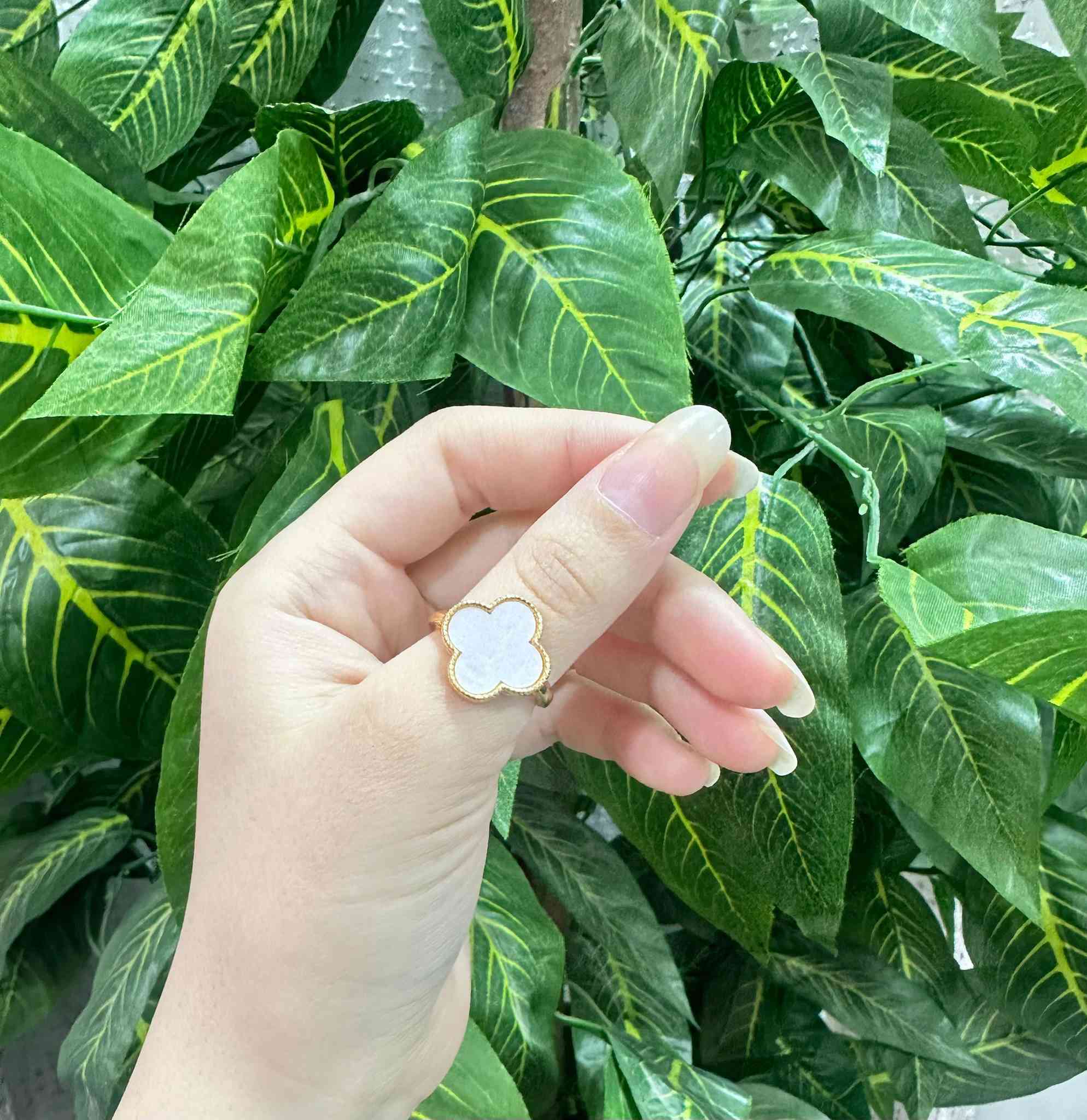 السلام عليكم اشكال وموديلات المحابس سعر القطعة على الف دينار
يوجد توصيل داخل سبع البور سعر التوصيل الف
رقم/*********** او خاص
