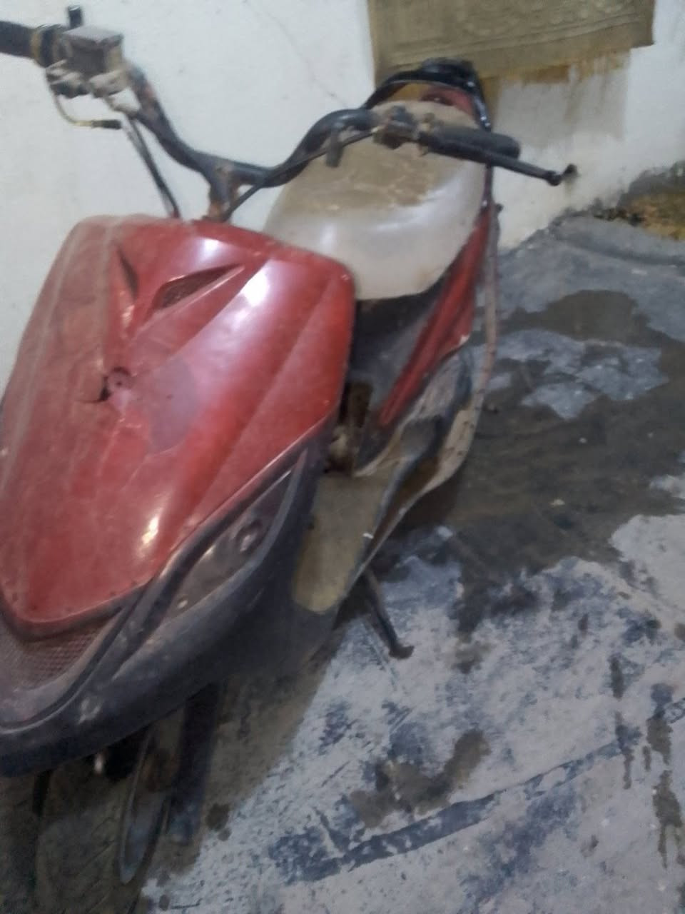 راجع ماكس ثعلب 150 وبيها مجال***********
