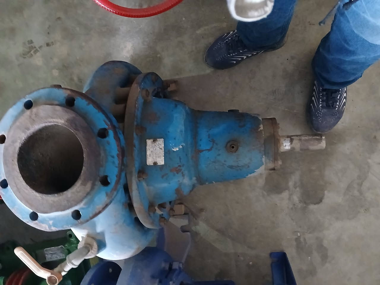 خنزيرة تركيا ضغط عالي بشاره ابراص ٦في٥ الاستفسار ***********سيدرحيم
