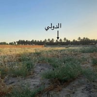 دونمين طابو المحمودية باسمنا بغداد اتجاه الدولي الاتصال  على صاحب الار...