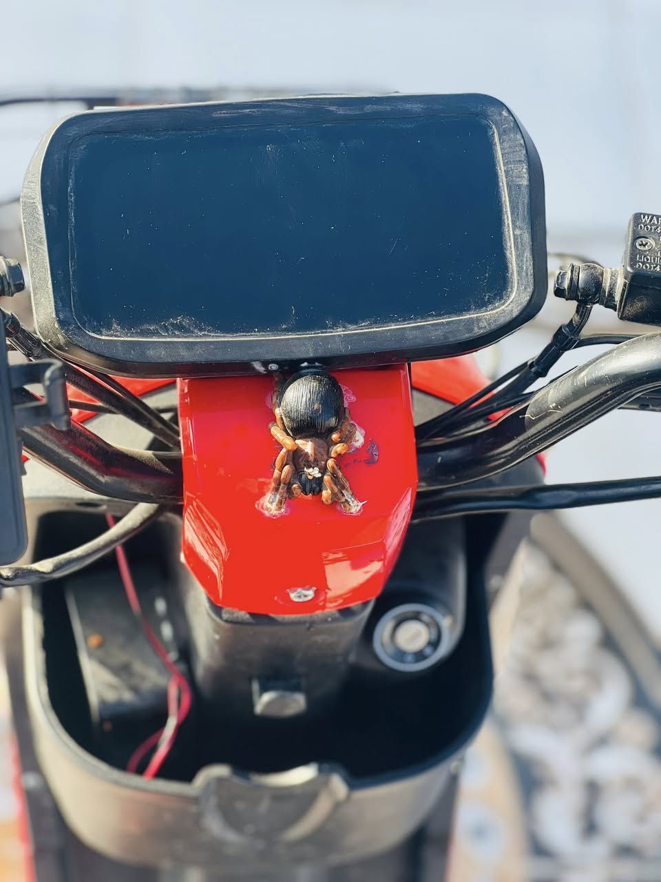 إسلام عليكم موطور شحن  ار 9 للبيع السعر 450 و بي مجال شي قليل الرقم ***********
