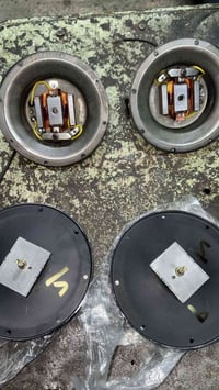 هورنات بوش مؤسسه ضمان مفتوح سعر 250 وبيهن مجال 07719355642فقط واتساب