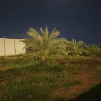 دونم شاطيه سده وشط الوجهة ٢٦ الباقي نزال مع بيت طابقين عدد ٤ غرف مطبخ ...