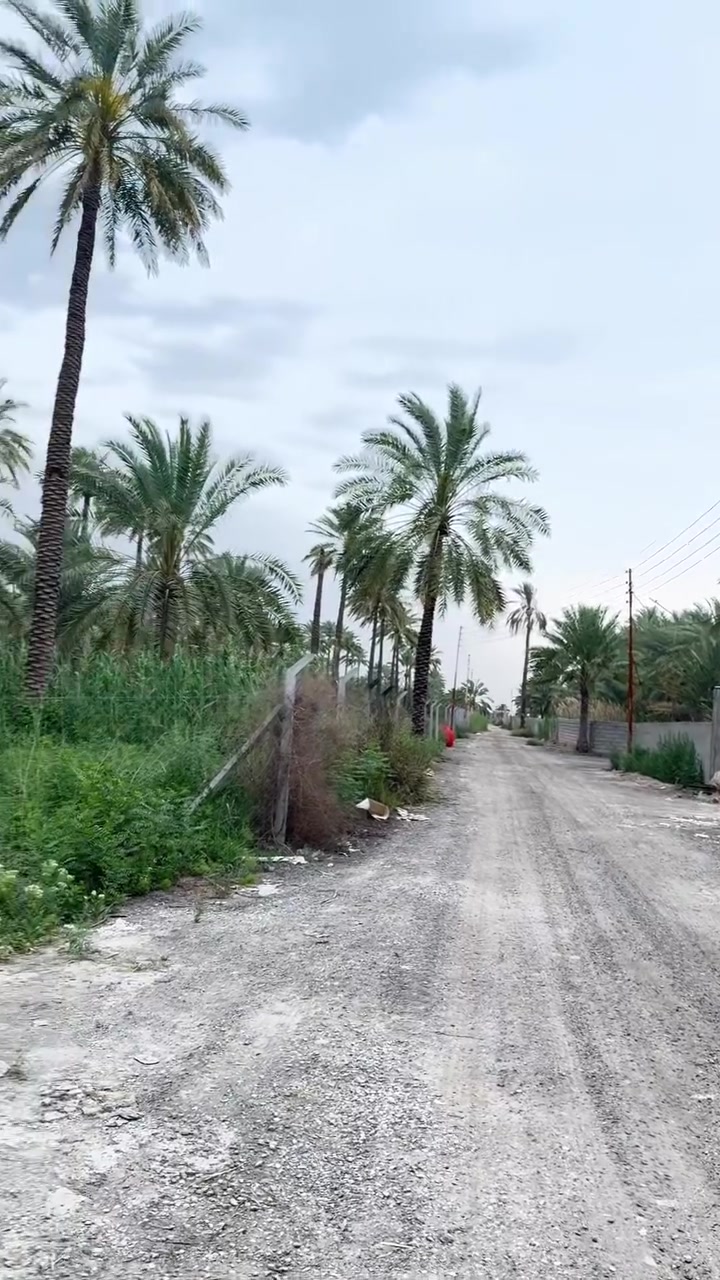 سلام عليكم دونم طابو صرف للبيع العنوان المدائن شارع سيد علي الثاني خدمات كاملة يبعد عن نهر دجلة 400 متر الاستفسار ***********
