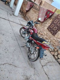 هايوشه • مامفتوح • ١٧