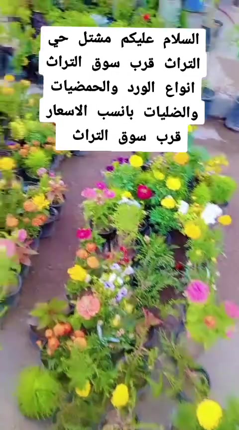 قرب سوق التراث


**إذا كنت صاحب هذا الإعلان وتريد حذفه لأي سبب، رجاءا أرسل رسالة إلى الدعم الفني**