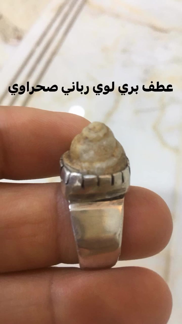 محبس عطف بري لوي رباني صياغه فظه يدوي ثقيله


**إذا كنت صاحب هذا الإعلان وتريد حذفه لأي سبب، رجاءا أرسل رسالة إلى الدعم الفني**