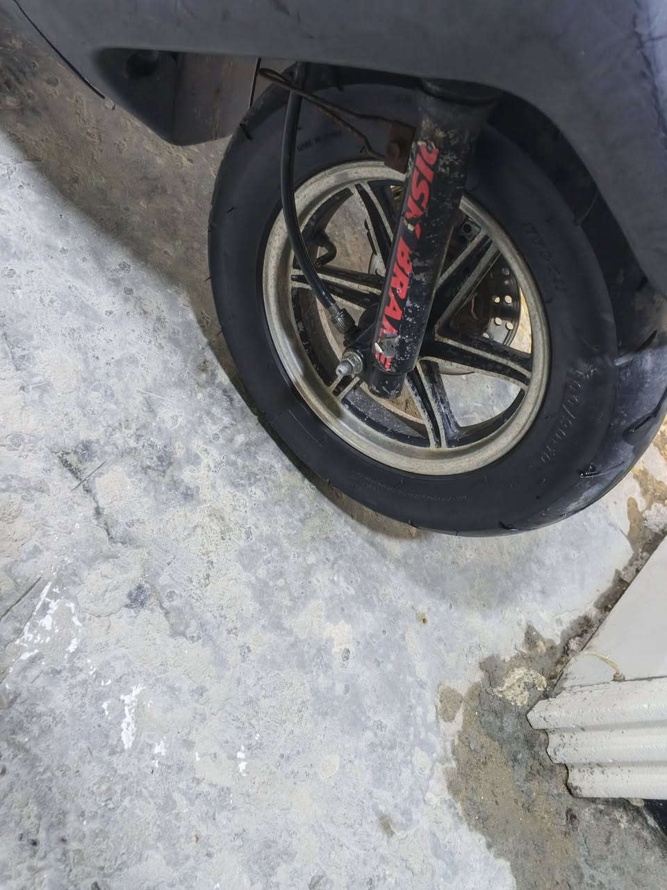 ويل نجمة مكفول مال رمبة للبيع السعر 225 بغداد العبيدي الاتصال ***********
