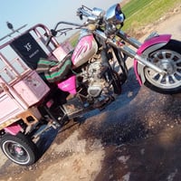 ستوته • مديل 17 • كفالة عامة