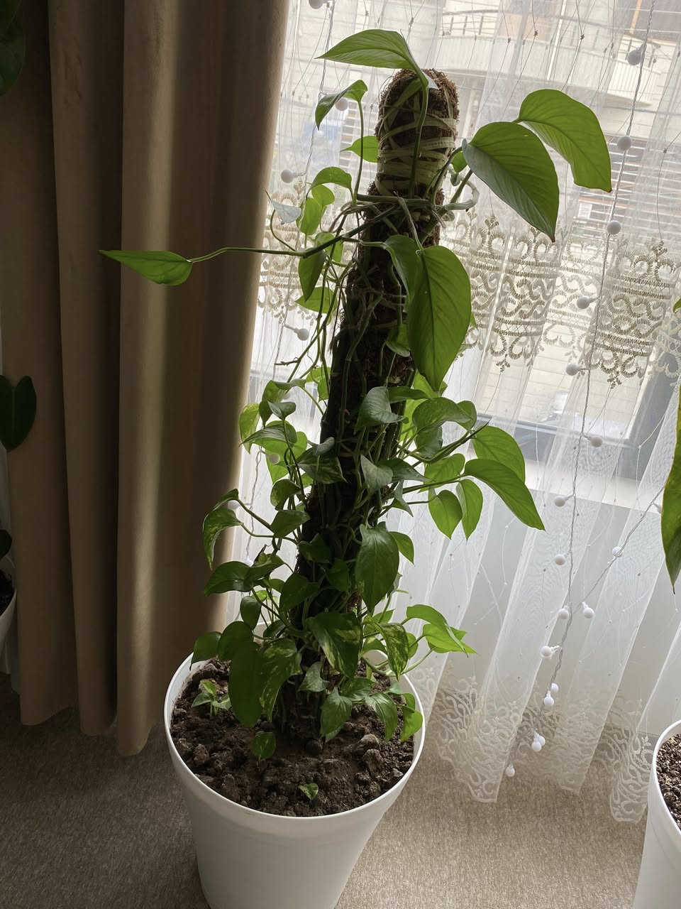 ‎ئەم کولانە ب فروشتن لە سلیمانی مەسج بکە ئەکەر ویستت


**إذا كنت صاحب هذا الإعلان وتريد حذفه لأي سبب، رجاءا أرسل رسالة إلى الدعم الفني**