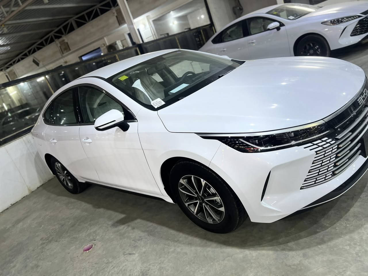 سلام عليكم 
يتوفار 
سيارات البي ويدي 
موديل 2025
ثلاث نوعيات 
معا عدته الكامله 
الون داخل ابيض 
يتوفر جمله ومفرد 
مرواس أو بيع وشراء 
المكان بغداد اليوسفيه قرب صيطره 75 
 اي لاستفسار تصال على رقم الهاتف 
***********
***********
***********
