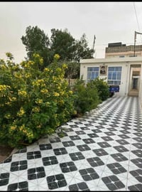 عمود شارع الصب • ٣٢٥م • سقف كونريت