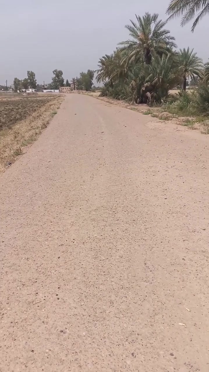 جاع للبيع تاج هور الباشا قرب فلكه هور الباشا سعره 15 وبيها مجال مساحتها 200 م ***********/////***********

