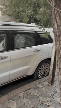 جيب 17 فول مواصفات سومند اعلى فئه جكات تعليها وتنصيها رادارات كامرات كشنات كهرباء فول للاخير تحويل ثاني مصبوغه حزام يوم بغداد البنوك 185
***********
