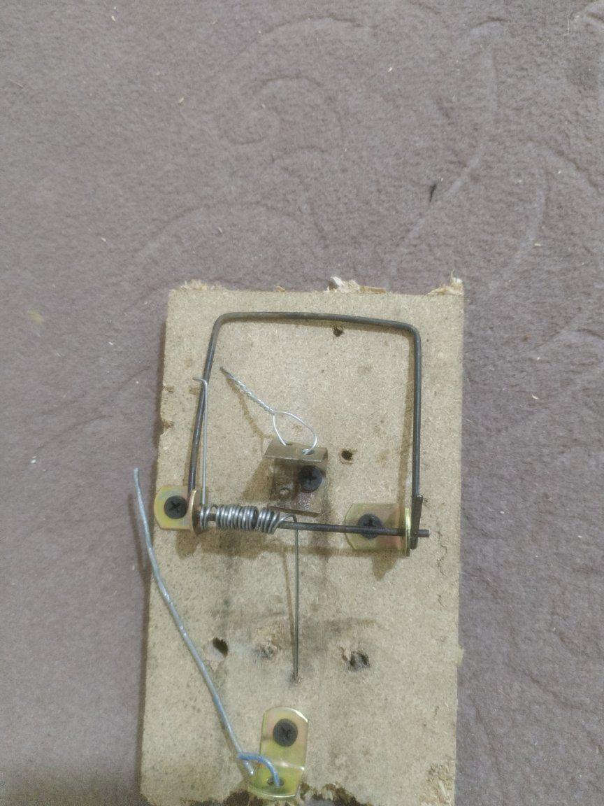 ‎مصيده وفخاخ صيد البلابل والعصافير‎ خناقين, ديالى


**إذا كنت صاحب هذا الإعلان وتريد حذفه لأي سبب، رجاءا أرسل رسالة إلى الدعم الفني**