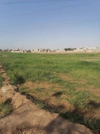 كاع البيع ٨ دونم ماطور كاز وقرطاس بيتين واحد كامل تكدر تنزل بيه واحد ع...