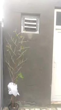 بيت البيع المساحه 125 متر شارع 15 لي هوه مقبل التربيه مال العبيدي بيت ...