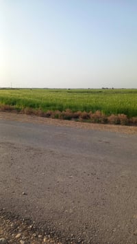 ارض زراعيه • ٤٥ دونم • ماء وكهرباء