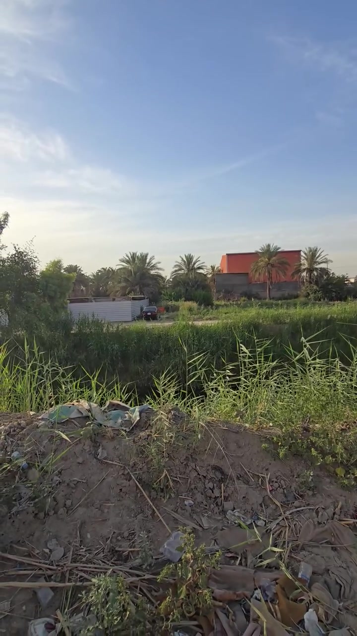 ١٢ دونم للبيع ملك صرف زراعي 

تباع حصرا كامله بدون تقطيع 

الواجه ١٥١ متر والنزال ٣٣٥ تقريبا 

العنوان ناحية الرشيد خلف قاعة الحميري 

لمعرفة السعر علق تم يجيك خاص داخل البيج حصرا 
اذا عندك عقار للبيع راسلنا ***********واتساب
