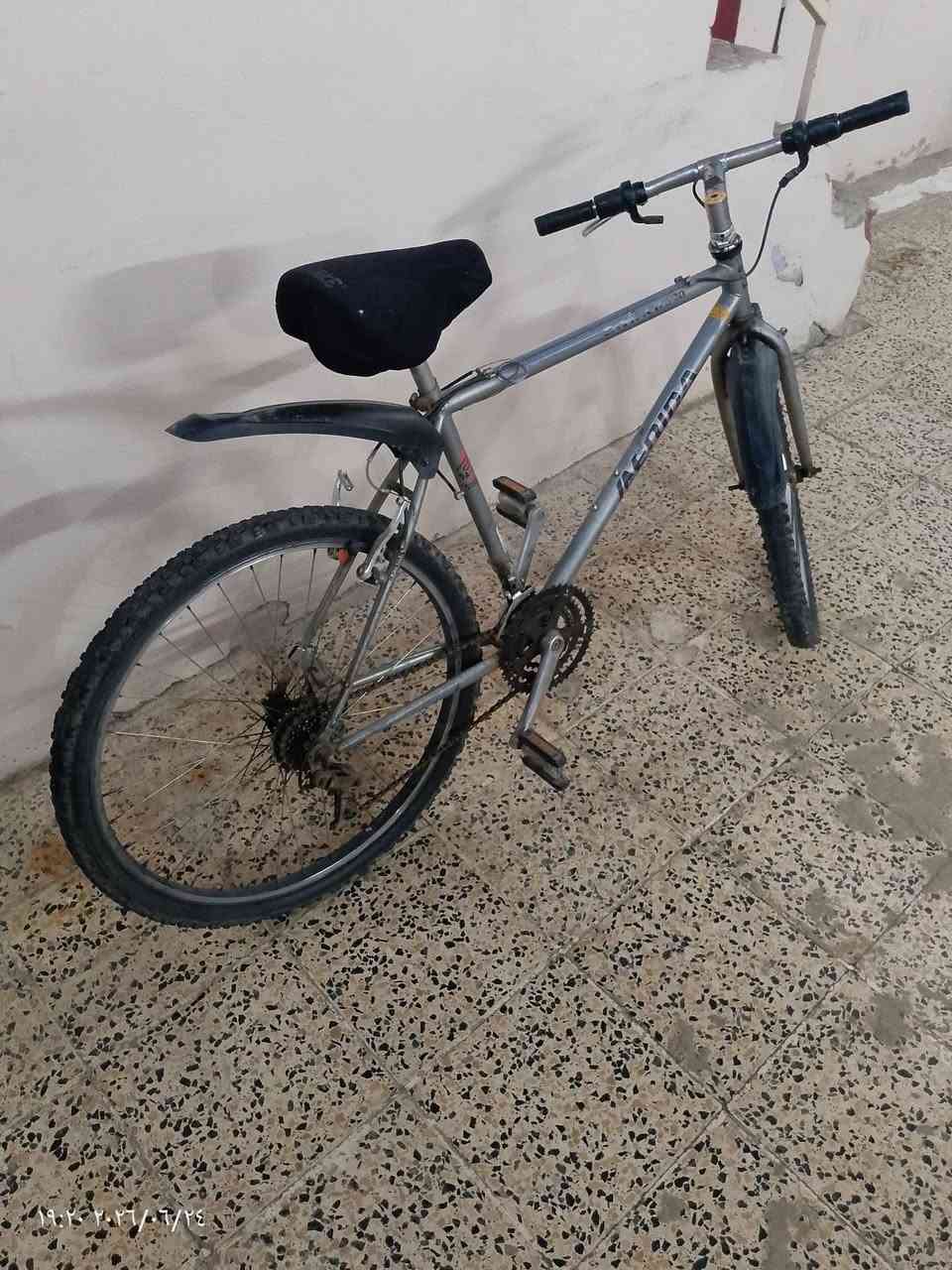 سلام عليكم بايسكل للبيع
شغال كلشي مابي بس يعوز تبدل قمچه مال بريك  خلفي

كير بي شغال كير صينيه اني موقفه يعني تكدر تشغله ويرجع كلشي ما بي 

البايسكل نضيف يعني كلشي ما بي بس اني تركتو فتره لان طلعت شتغلت خارج الموصل وتركتو 
وهسه مامحتاجه اريد ابيعه سعره 75 وبي مجال للطيبين


**إذا كنت صاحب هذا الإعلان وتريد حذفه لأي سبب، رجاءا أرسل رسالة إلى الدعم الفني**