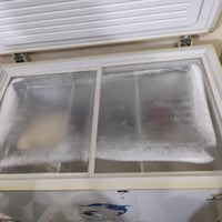 ورحمه الله من رخصة الادمن مجمدة ام الدولفين حجم 12 قدم نضيفة حوضهه واس...