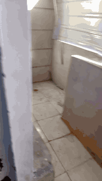 السلام عليكم بيت للبيع المكان الدورة ابودشير منطقة الف مساحتة 75.  البيت قاطين مفصولات البيت الارضي متكون من طرمة وتواليت برة وهول ومطبخ جبير وحمام مشترك وغرفة وبعدغرفة صغيرة. والطابق الثاني معزول عن طابق الارضي متكون من بلكونتين وهول ومطبخ وغرفة وحمام مشترك وسطحين مع اضافة بيتونة معزولة بين سطحين البيت كلة سراميك.             *********** السعر 125وبي مجال بسيط مستعجلين علبيعتة. اي استفسار عل خاص او تواصل عل واتساب
