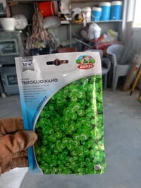 بذور ثيل • أذان الفار • شميط