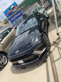 سوناتا • ٢٠٢٤ • رقم شهداء