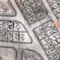 الاساتذه ام العصافير • ٣٠٠م • ركن