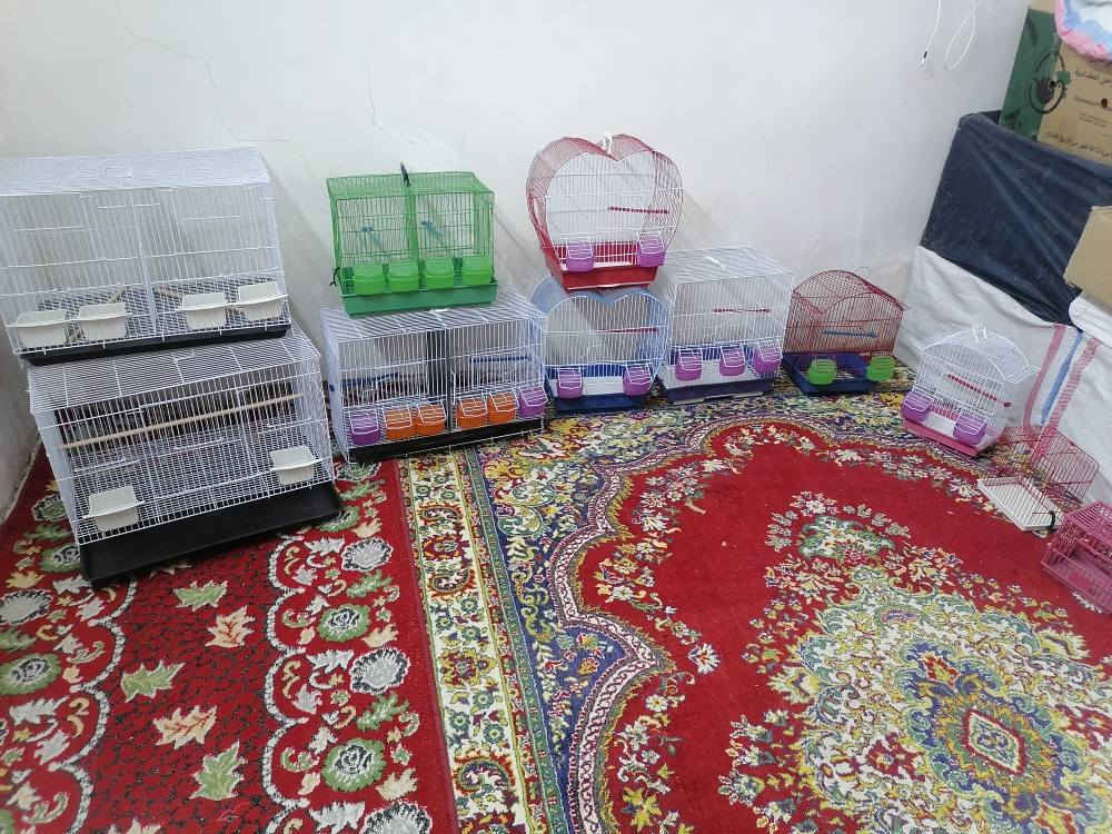 *********** بغداد, العراق
