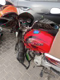 بوكسر ٢٠٢٣ • باسمي • بلديات