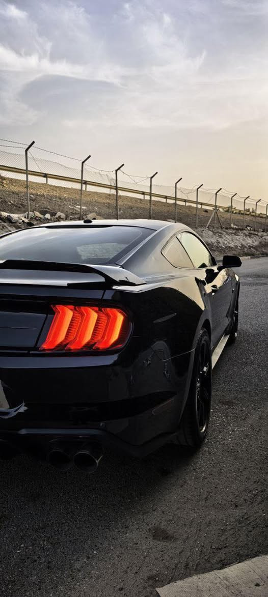 موستنك GT ( 5.0 ) 2019
موستنك GT للبيع ( 5.0 ) 10 speed ( 10 نمر )🚀

وارد كندي كلين تايتل مغلفه PPF بالكامل 

فقط نص شبر بالبنيد صبغ فقط لا غير 

ماشيه 48 الف مثل ما موضح بالصور

فول عدا الدجتل يجي العداد تحكم 7 الوان 

عليهه : 👇🏿

برمجه ارماند 

داون بايب 

ء H بايب 

دبات خلفيه HT بور بوابات

فيت ام AEM 

سستم دواخل كاربون فايبر بالكامل 

السياره لتقارنهه بالمهجومات نهائياً 

كفاله كير و مكينه شرط ! 

تجي واحطك على راسي وتاخذ بيهه تراي و تشوف كشرهه و نصبتهه و قوتهه 

السياره معروضه ب22،500 

وبيهه مجال للشراي 

***********
