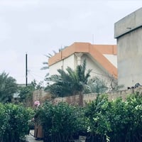 مشتل أبو ابراهيم • نفضيات • حمضيات