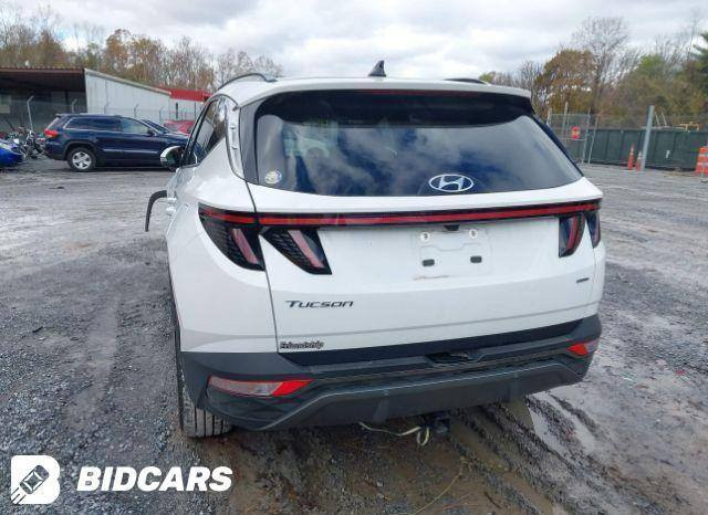 شـــــــــــــــــــركة مـــايباخ 
بأدارة علي عباس الخُزاعي 
وجهتك الأولى لأستيراد وتصدير السيارات

هيونداي توكسان موديل 2024
لمتدد فول مواصفات حاليا بدبي
واصل للبصره مصلح وجاهز بدون كمرك ب180 قفل

الديوانية . حي الجزائر . شارع البستان
📞 *********** 
📞 ***********
