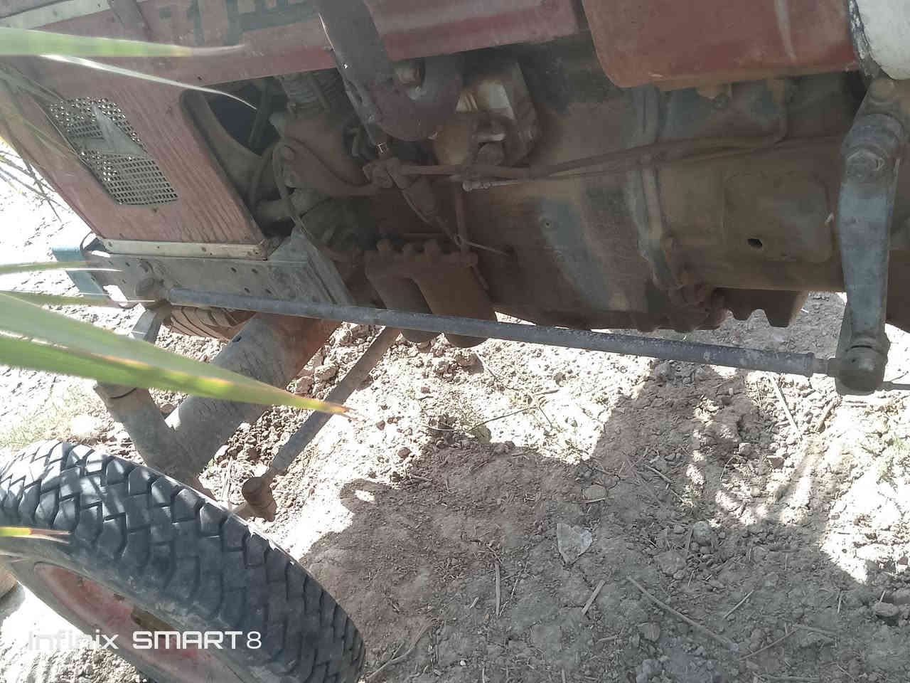 سلام عليكم عنتر للبيع المكان ذي قار رقم الهاتف ***********
