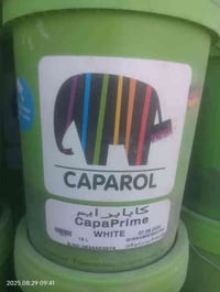 صبغ داخلي وخارجي • ٣٤٠ صطل • توصيل