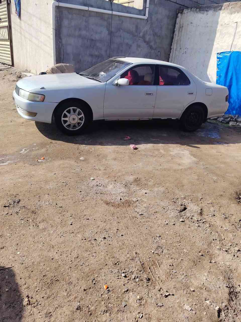 كرسته البيع مكفوله***********
